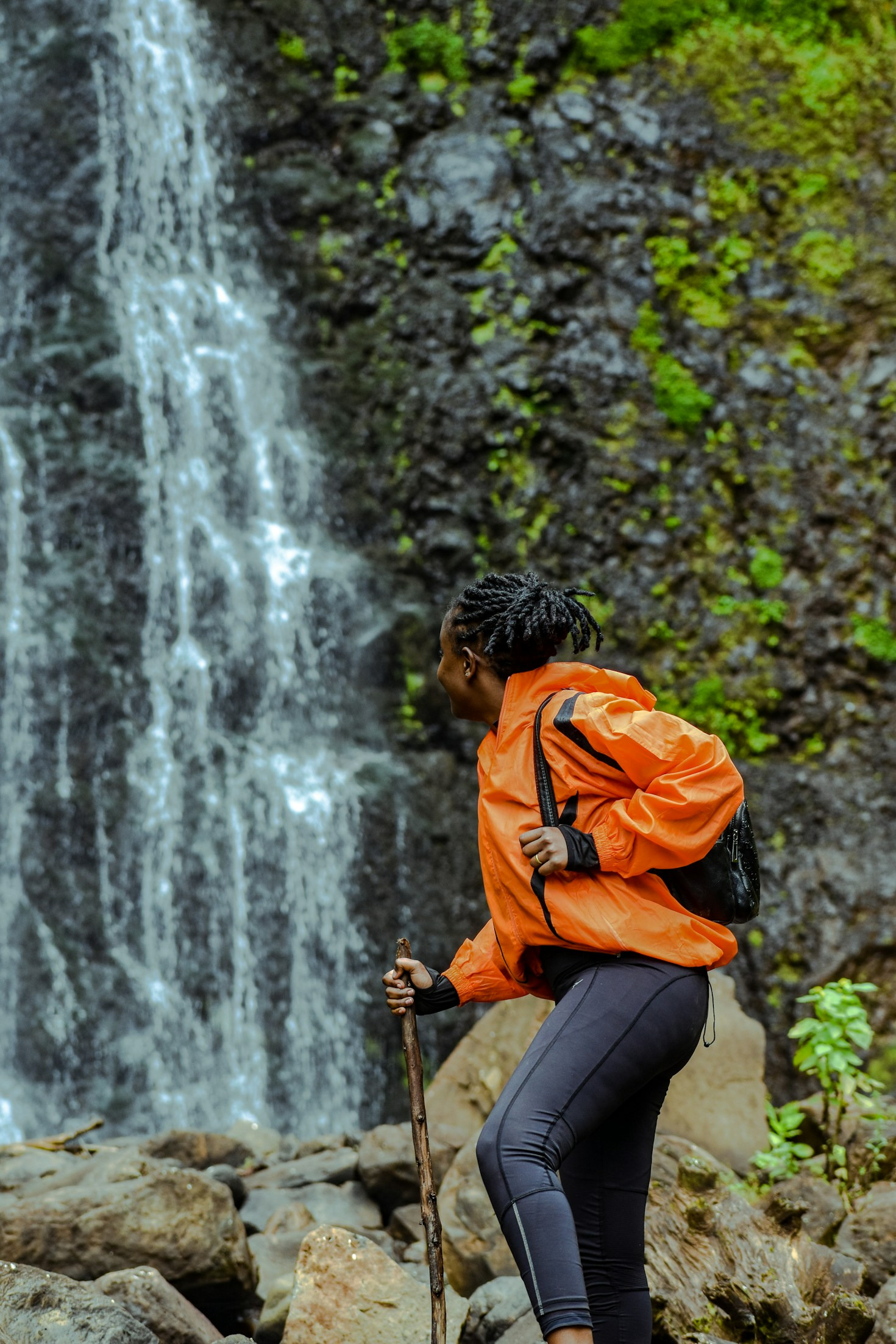 Automatización en casa: herramientas imprescindibles